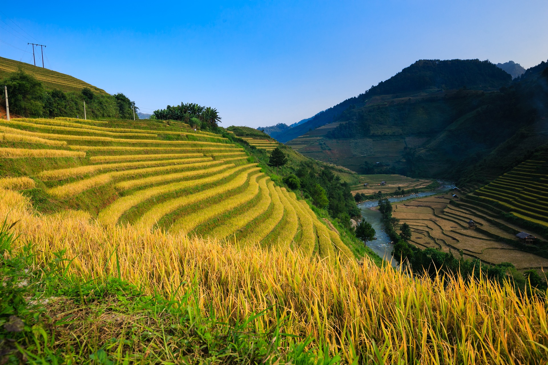 Hanoi - Sapa (F/L)